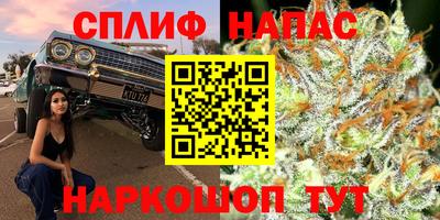 прущие крисы Бузулук