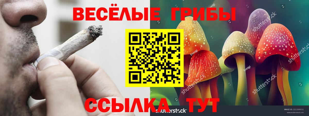 купить   Вход с VPN  Скопин  Псилоцибиновые грибы Psilocybine cubensis 