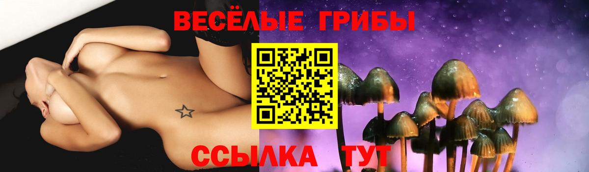 Галлюциногенные грибы мухоморы Скопин